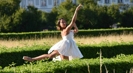 Ballet Precision Image